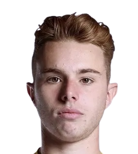 杰拉德·费尔南德斯·卡斯特利亚诺