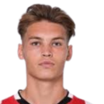 乔尔·伯格·登·范